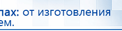 Электроды Скэнар -  двойной овал 55х90 мм купить в Гулькевиче, Электроды Скэнар купить в Гулькевиче, Скэнар официальный сайт - denasvertebra.ru